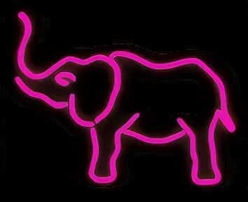 Neon elephant. Слон неон. Неоновые слоны. Слон из неона. Delirium слон неон.