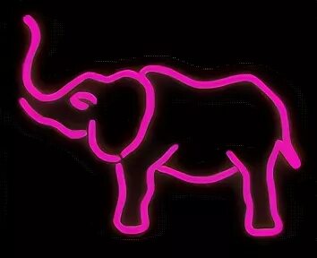 Neon elephant