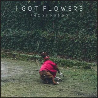 I got flowers