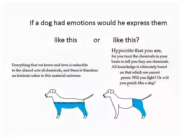 Will you Fight or will you Perish like a Dog. What do you know about Dogs? Решение задачи. Стих l have a Dog. Do you know your Dog.