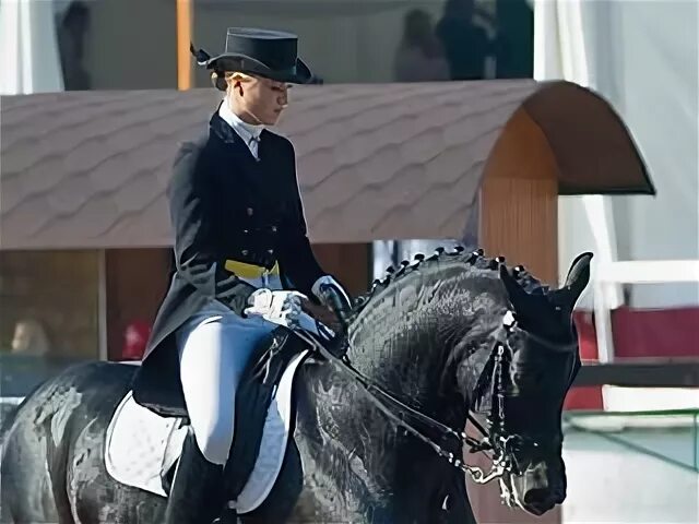 Horse neighing. Принимаете на лошади. Принимаете на лошади. Картины едущих на лошадей людей. Кск ковбой.