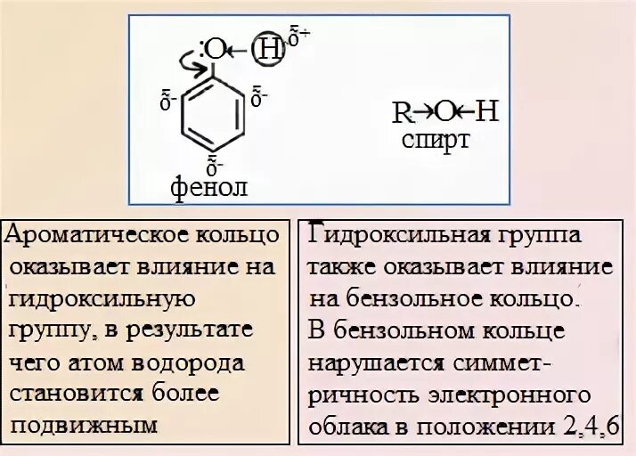 Гидроксильная группа в бензольном кольце. В молекулах фенолов гидроксильные группы. Влияние гидроксильной группы в молекуле фенола. Влияние бензольного кольца на гидроксильную группу. Влияние гидроксильной на бензольное кольцо.