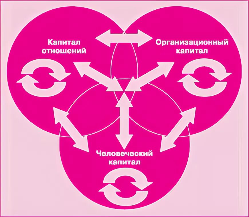 Стратегии человеческого капитала. Управление человеческим капиталом. Стратегии управления знаниями. Система управления человеческим капиталом. Взаимодействие с населением.