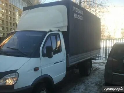 Личном газель
