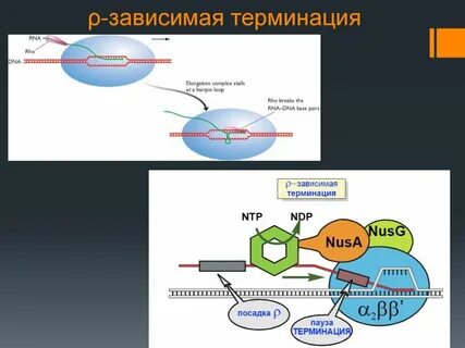 Зависимая 3