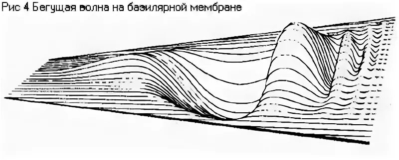 Теория бекеши