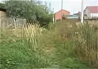 Погода софьино раменский