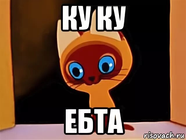 Ку ку я тут. Ты ку ку. Котенок Гав мемы. Совсем ку ку. Ку ку Мем.