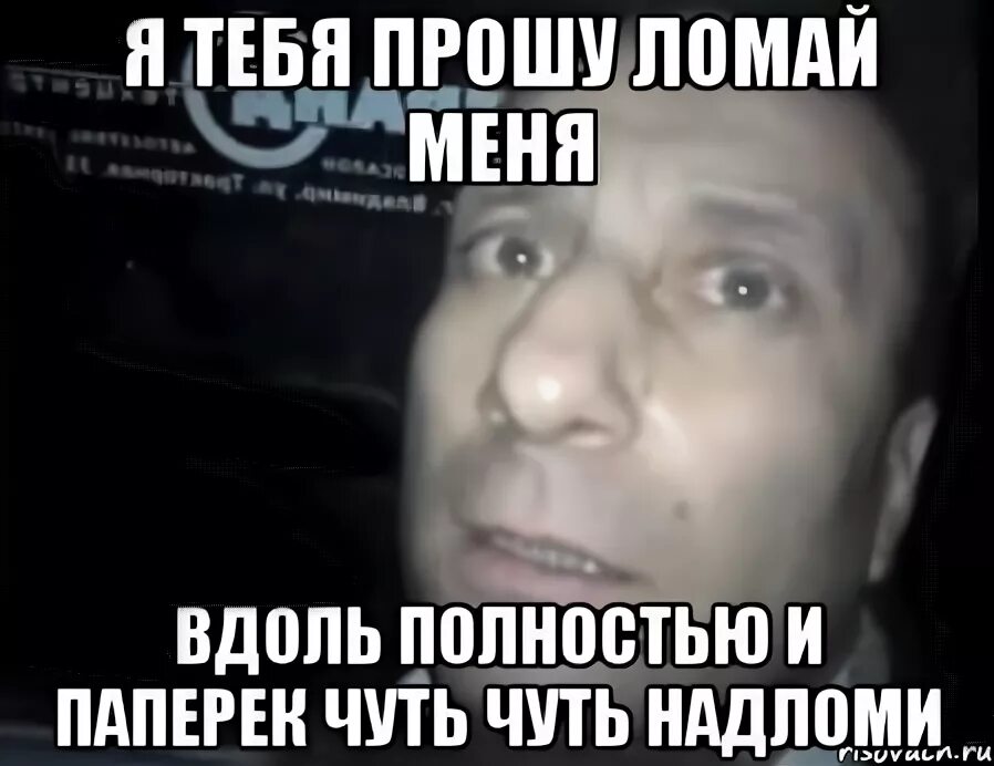 Я тебя прошу дай патроны. Волки злые с надписями. Мемы про светку. Дай патроны. Мемы про шоколадку.