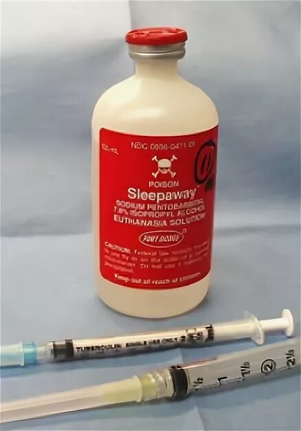 Снотворное ксиланит. Препарат для усыпления. Препараты для эвтаназии в ветеринарии. Средство для эвтаназии название. 10 мл.