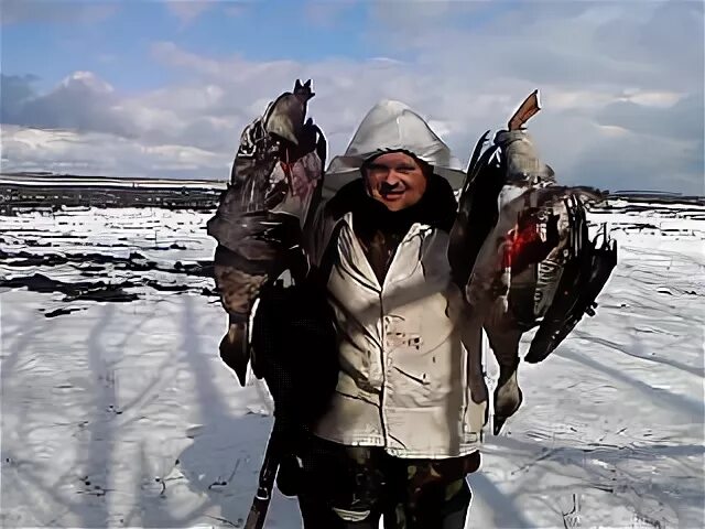 Сроки весенней охоты в тамбовской области. Весенняя охота на гусей 2024. Охота на гуся в Новосибирской области. Охота в Калмыкии на гуся. Тамбовская область Весенняя охота на утку 2023г.