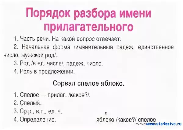 Выступают разбор