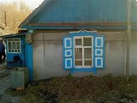 Авито дачи осинники