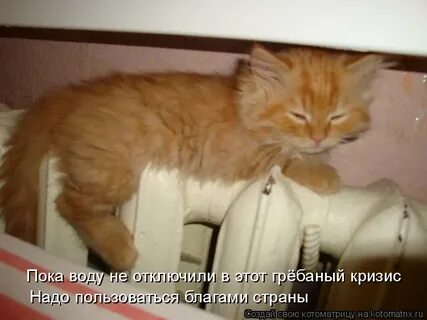 Пока вода