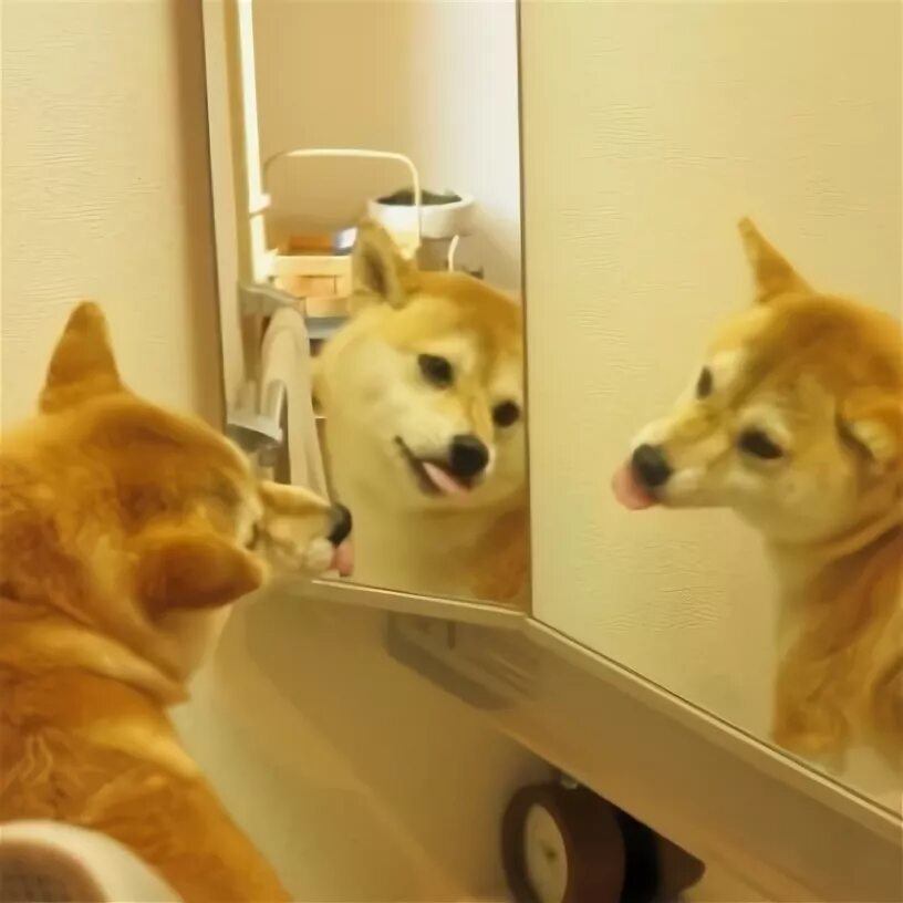 Exclamatory sentences. Визуализация данных инфографика. Употребление so such. Употребление such и so в английском. Such protected.