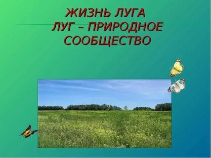 Жизнь луга 4 класс окружающий мир учебник