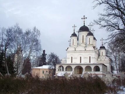 Большие вяземы 6