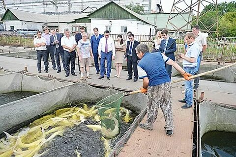 Погода приморский губерово пожарский