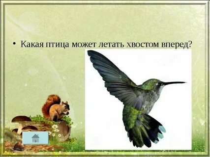 Вперед какая