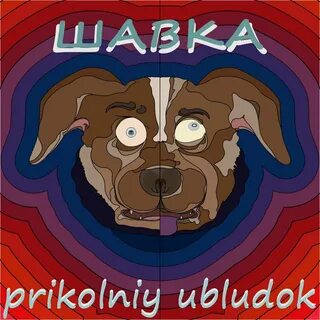 Про шавок