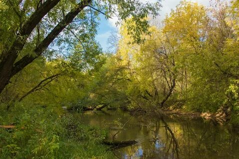 Река сходня