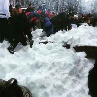 Сошли снега где