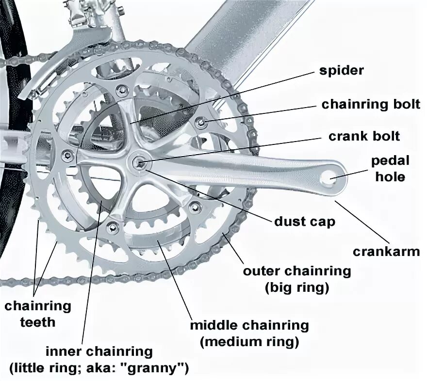 Bike parts. Шифтер для велосипеда схема. Части велосипеда. Название частей велосипеда. Bicycle Parts names.