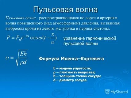 Пульсовая волна