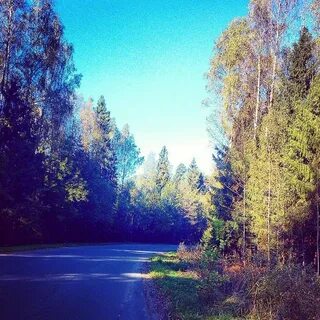 Красногорские покосы