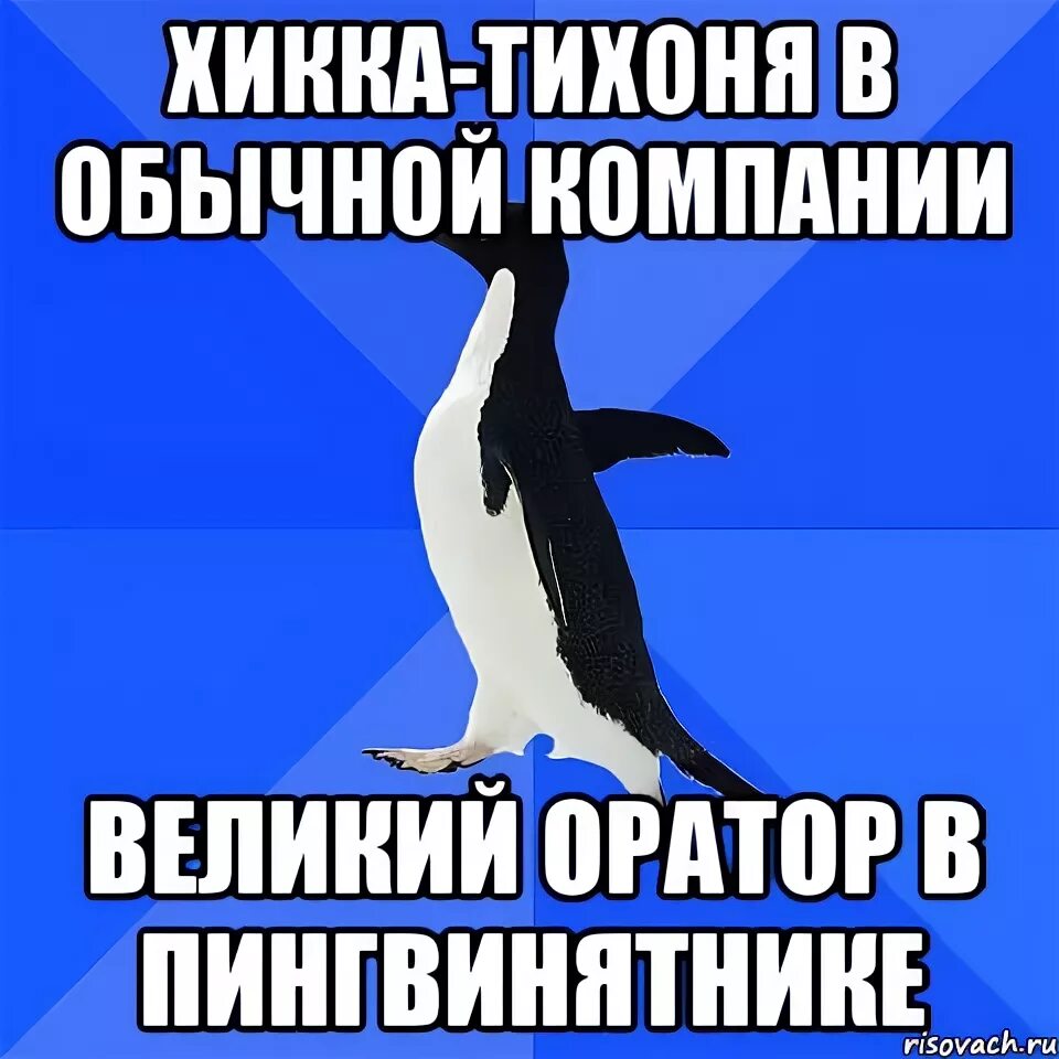 Интроверт социофоб и я боюсь микробов текст. Социофоб мем. социофоб вк. социофоб синоним. мем минотавр социофоб.