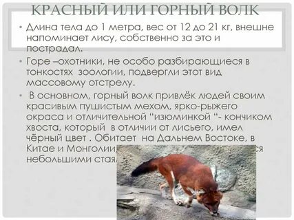 Красная книга содержание кратко