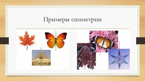 Симметрия что это 2 класс