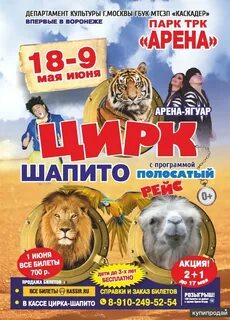 Цирк воронеж афиша