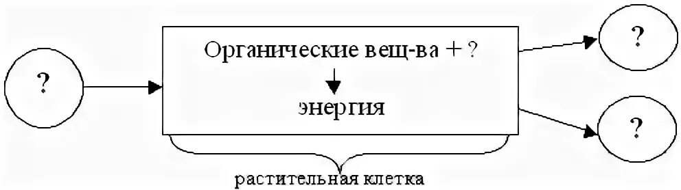 Следующую схему