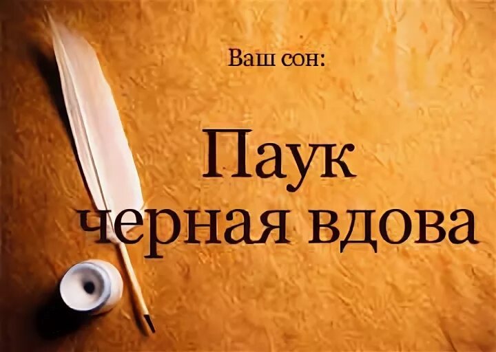 К чему снится черная вдова. Черная вдова во сне к чему снится. К чему снится темная школа. К чему снится укус вороны. Приснилась вдова