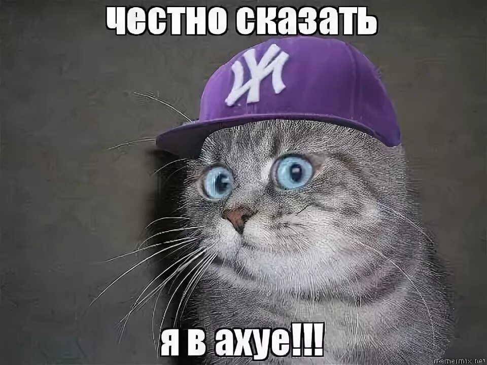 Честно сказать я знала. Я в шоке. Честно говоря. Честно сказать я знала. Надпись честно.