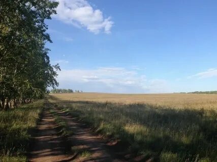 Земельный участок тамбовская область