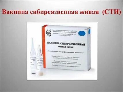 Противосибиреязвенный иммуноглобулин