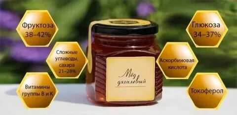 Полезные свойства дягилева меда