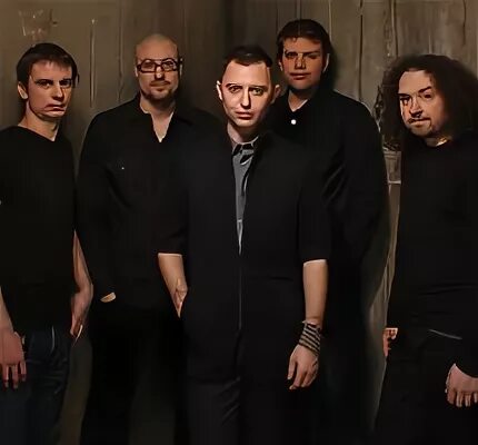 Звери любовь одна виновата