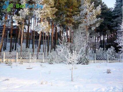 Санаторий спутник белоруссия 2024