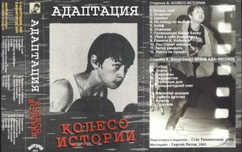 Колесо адаптации