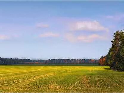 Sort fields