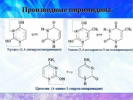 Урацил это