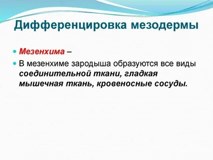 Хрящевая ткань мезодерма