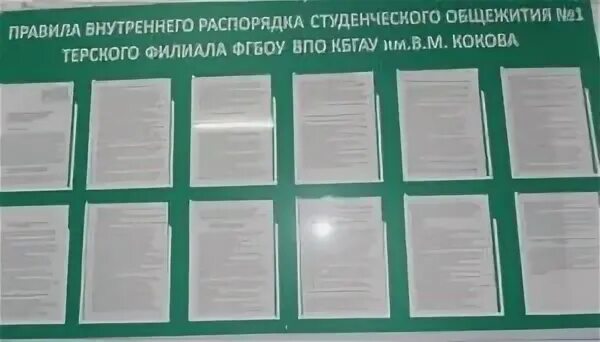 Протокола общежитий. Информационные стенды в общежитии. Правила внутреннего распорядка в студенческом общежитии. Уголок общежития студентов. Стенды в общежитии для студентов.