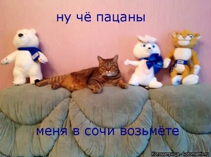 Решил остаться дома