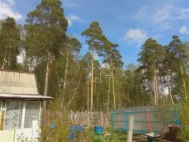 Сады среднеуральск