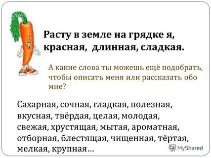 Род слова морковь