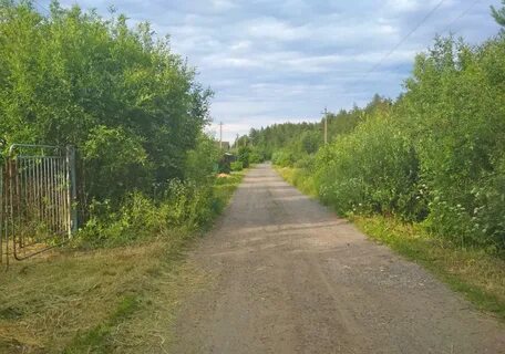 Красногорские покосы